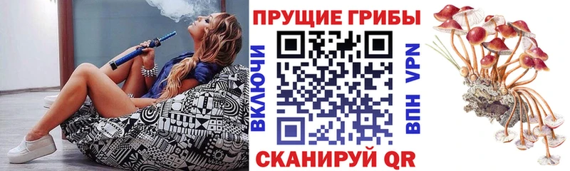 МЕГА как зайти  Остров  Псилоцибиновые грибы мухоморы 